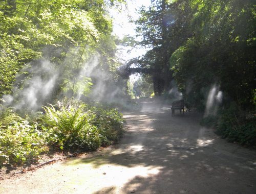 Visite du parc floral d’Orléans La Source