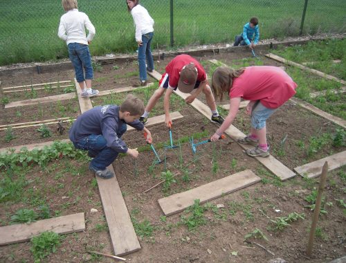 jardinage à l'école