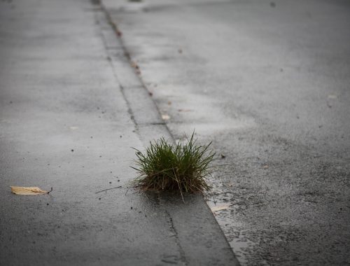 attention aux endroits traités