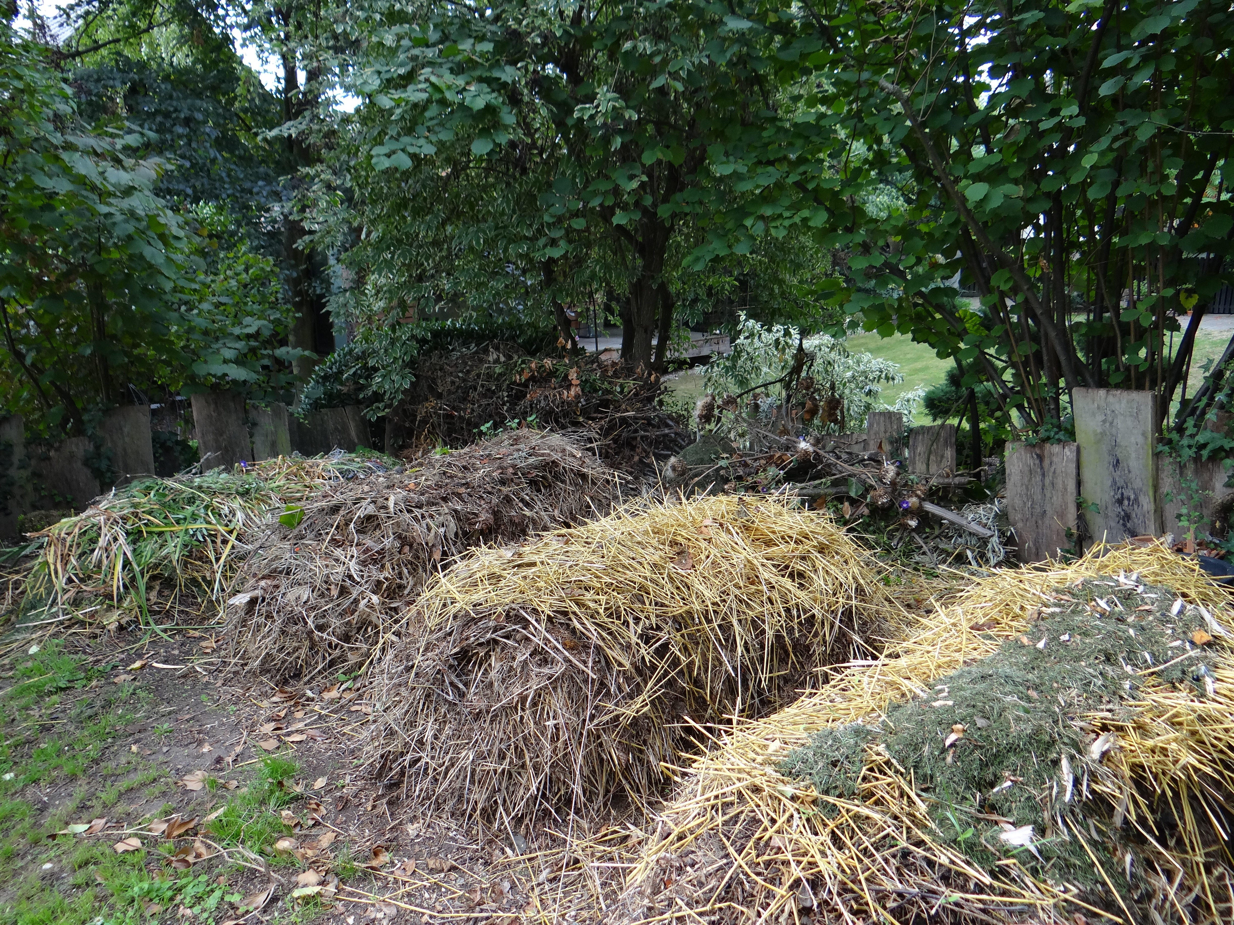 Bac à Compost Avec Composteur De Jardin En Bois D'herbe Coupée Tas De  Compost Après La Coupe De L'herbe Ou La Tonte De La Pelouse