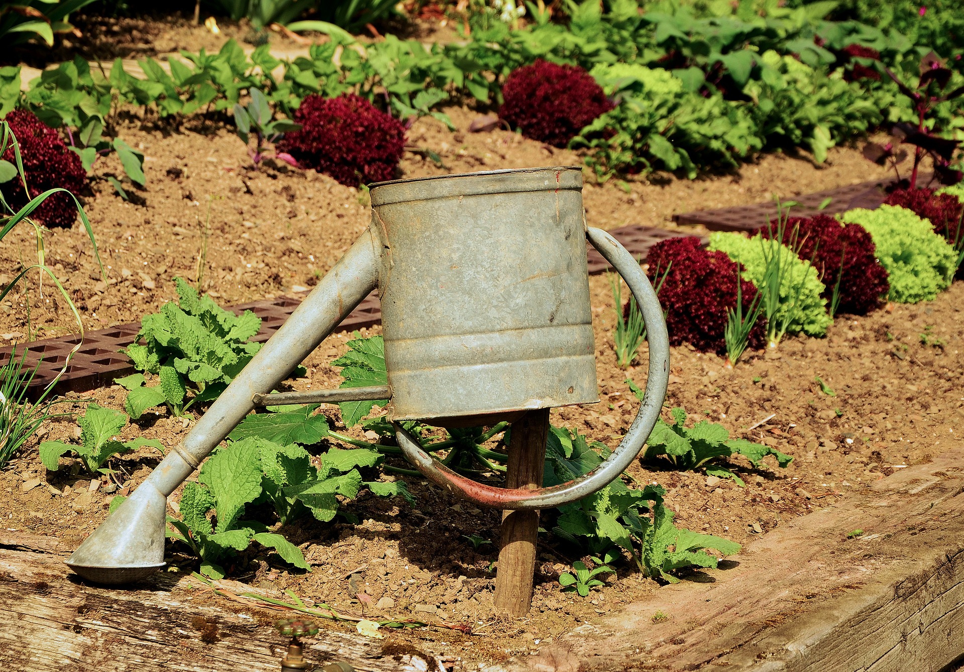 Systèmes d'arrosage: En été, ne laissez pas votre jardin et vos plantes  souffrir de la sécheresse