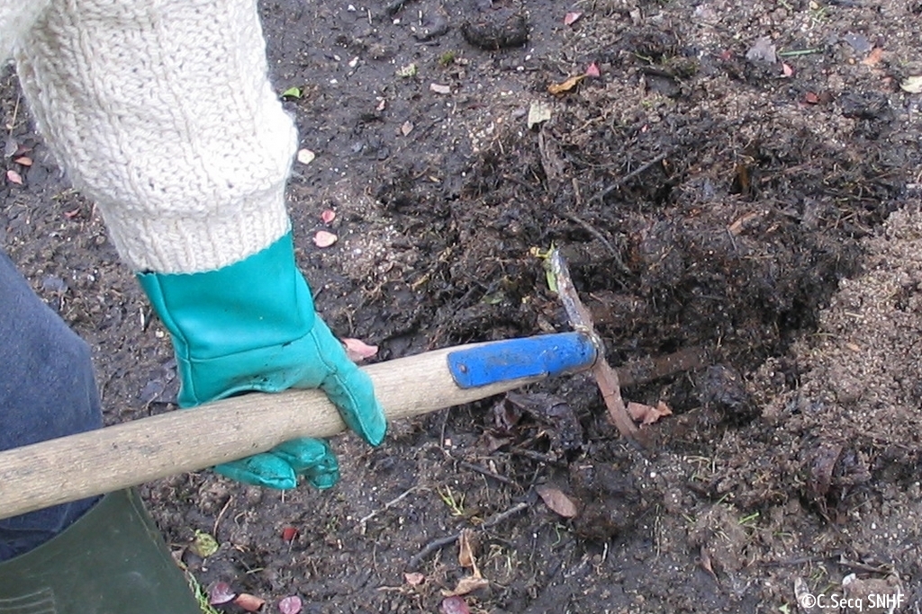 Le composteur à planter