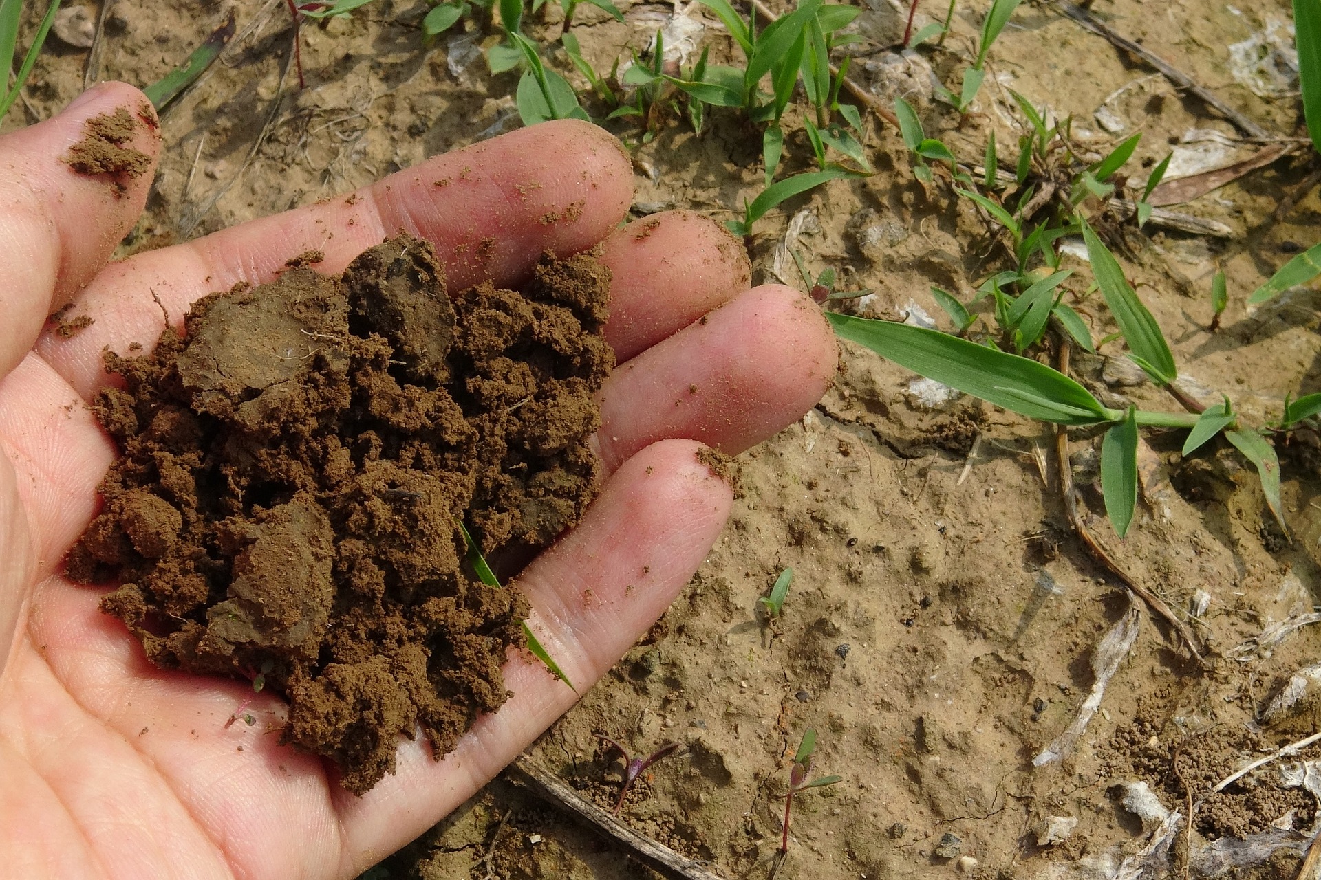 Connaître les caractéristiques de la terre de son jardin