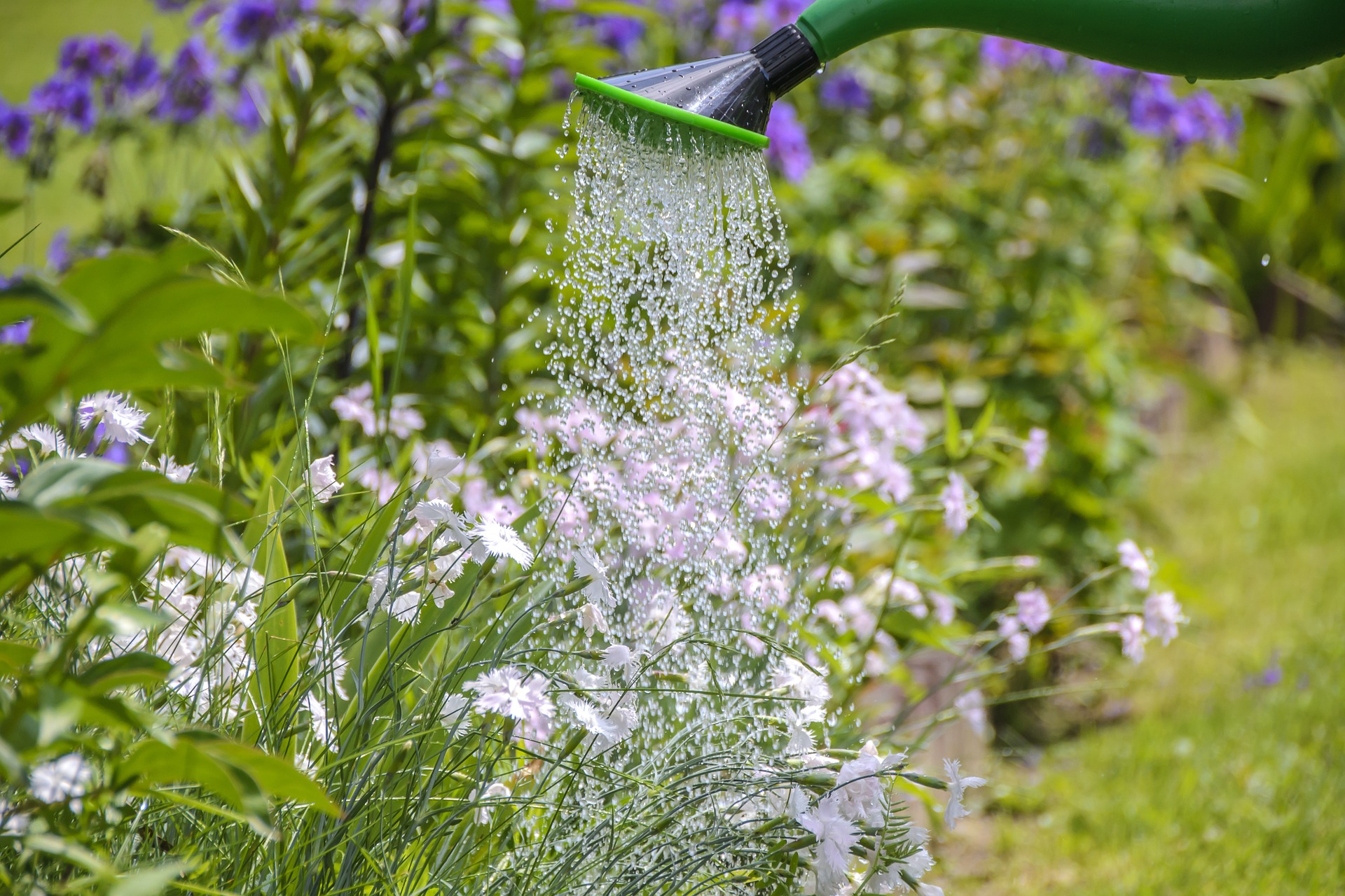 L'arrosage du jardin pendant les vacances, quelques trucs et astuces -  Centre jardin Del Esta, l'horticulture à son meilleur