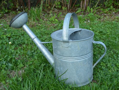 watering-can-1376691_1920