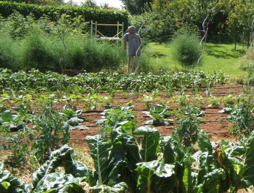 4-pisany-vue-potager-1