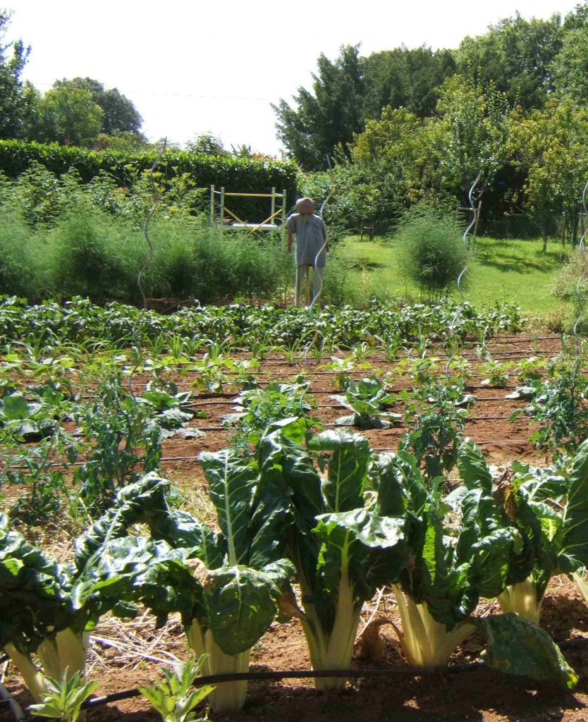 4-pisany-vue-potager-1