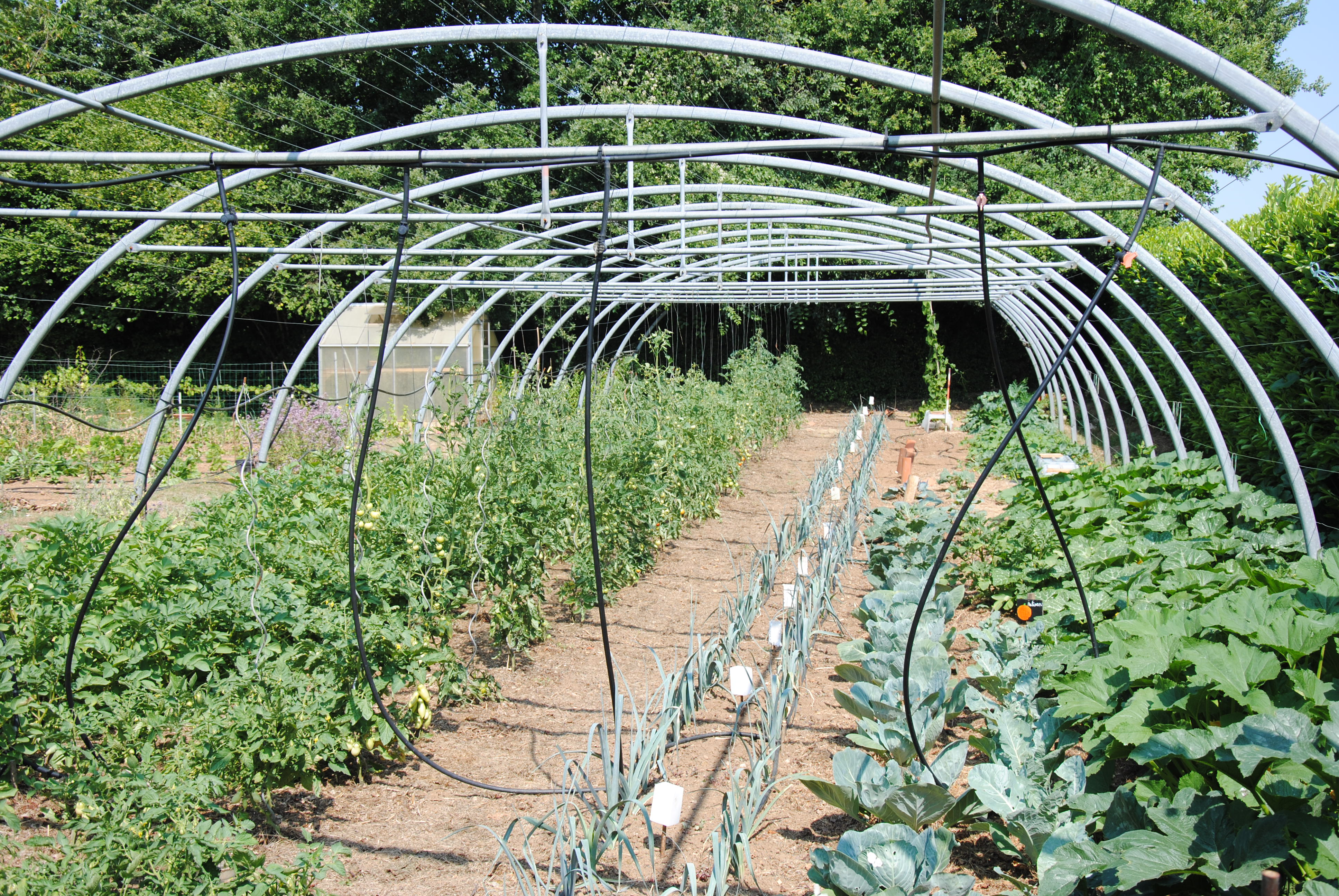 5-pisany-potager-sous-tunnel