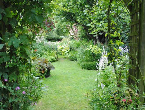 fenetre-avec-grand-angle-sur-le-fond-du-jardinc-a-guillaumin