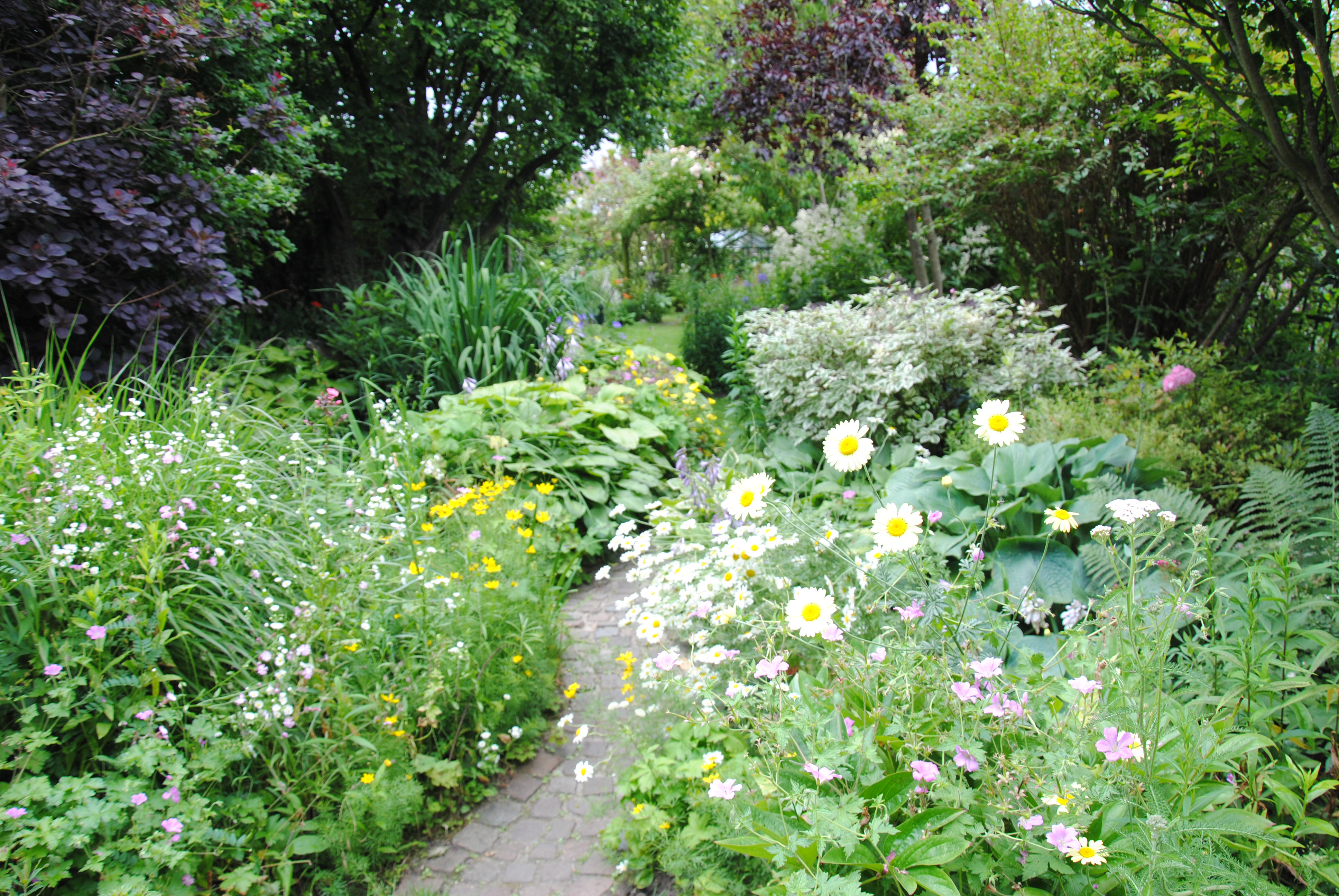 les-cheminements-paves-permettent-de-passer-de-jardin-en-jardin-mais-aussi-a-linterieur-meme-des-massifs-c-a-guillaumin