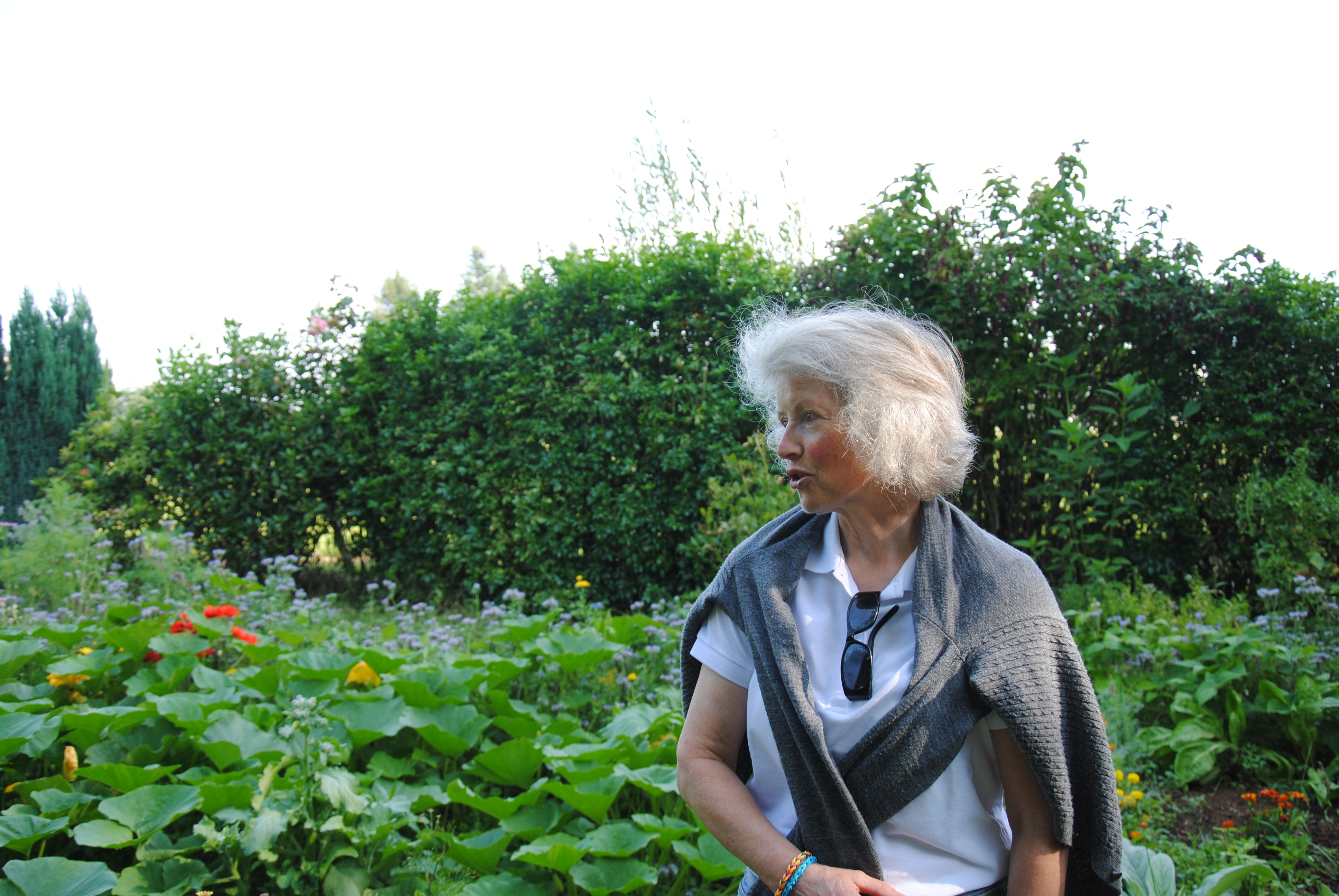 maryvonne-dans-son-jardin-potager-c-a-guillaumin