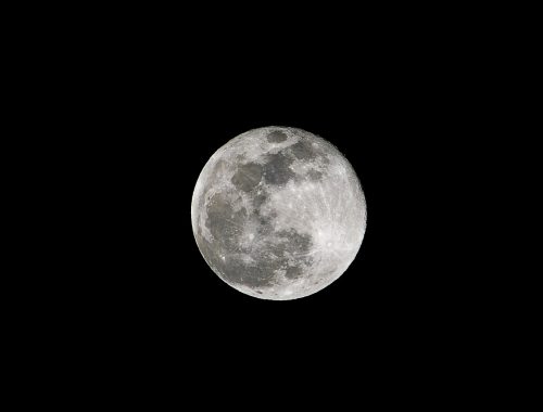 L'influence de la lune sur le jardin, mythe ou réalité