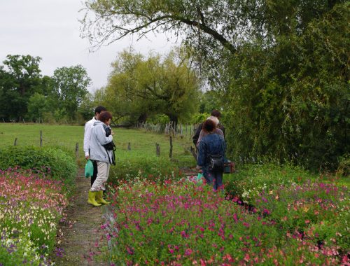 Visite des Etablissements Hortiflor Bureau