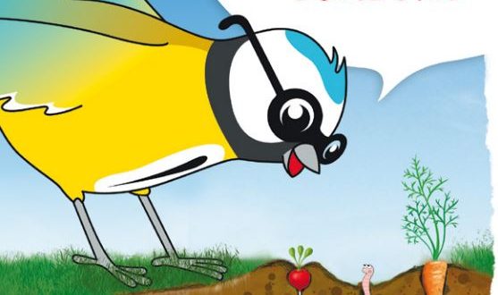 jardiner au fil des saisons