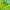 fond_journee_biocontrole_2016
