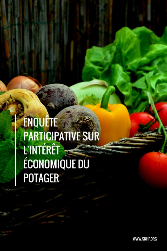 enquête participative intérêt économique du potager