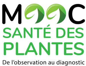 logo-MOOC-Santé-des-plantes