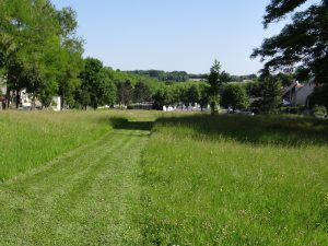 tonte-prairie-colonne-osny-g carcassès