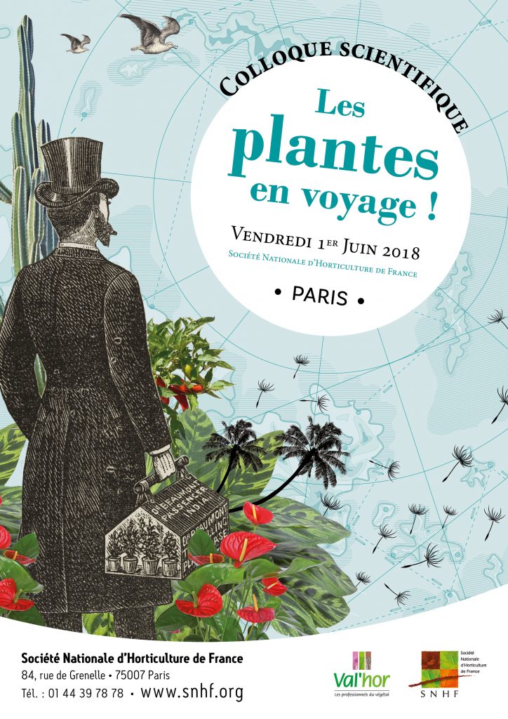 Fève - Société Nationale d'Horticulture de France