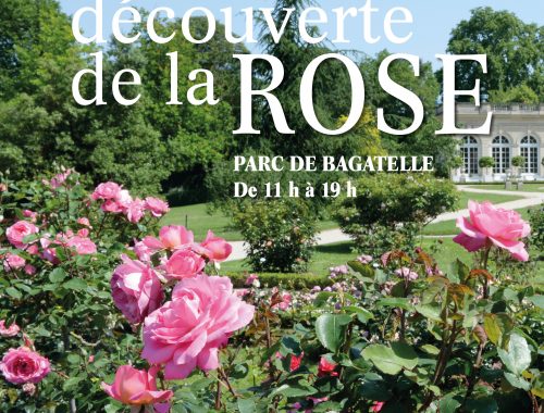 rose-jardiner Autrement-Bagatelle