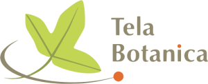 tela botanica