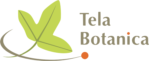 tela botanica