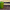 garbage-can-1111448_960_720