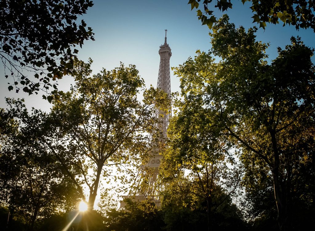 végétal paris tour eiffel