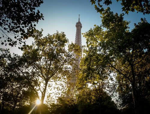 végétal paris tour eiffel