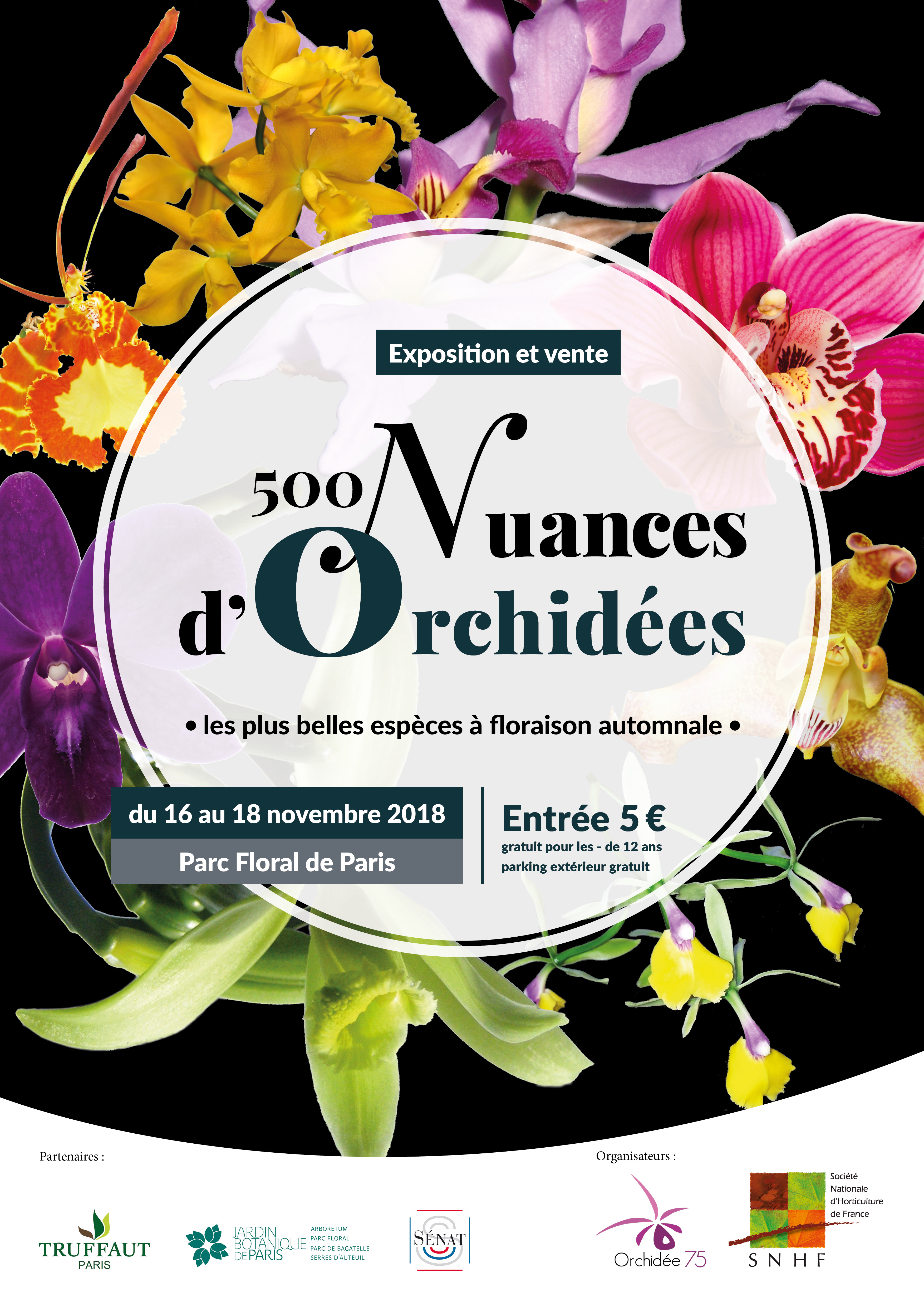 AFFICHE_500_nuances_dif AFFICHE_500_nuances_dif