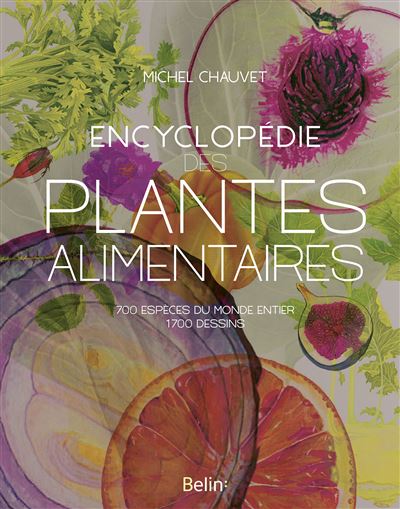 plantes alimentaires botanique ethnobotanique usages