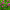 plantes-060753