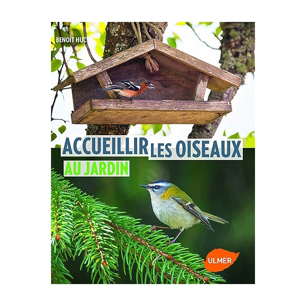 Accueillir les oiseaux au jardin