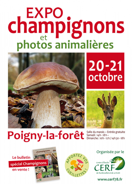 affiche-c-expo-champignons-2018-a3 affiche-c-expo-champignons-2018-a3