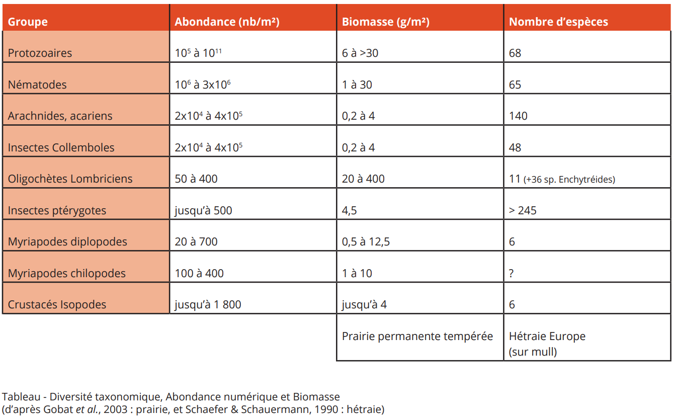 Diversité taxonomique, abondance numérique et biomasse