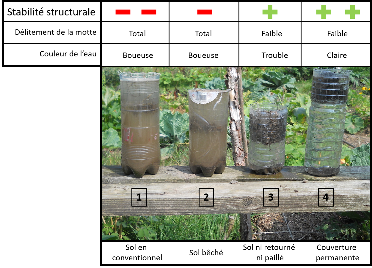 Jardinage pratique : 4 méthodes pour mesurer le pH du sol