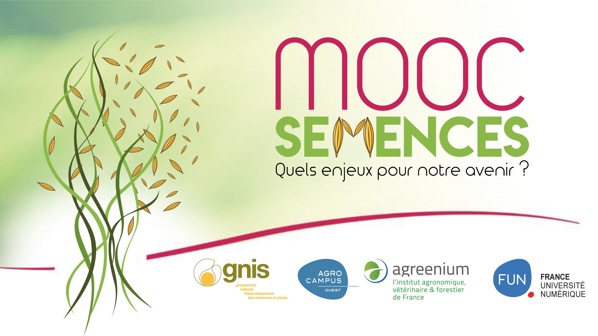 MOOC_Semences