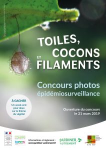 Affiche_concours_photos_epidemio_2019