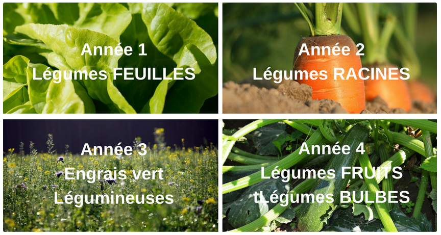 La rotation des cultures au potager © Jardiner Autrement