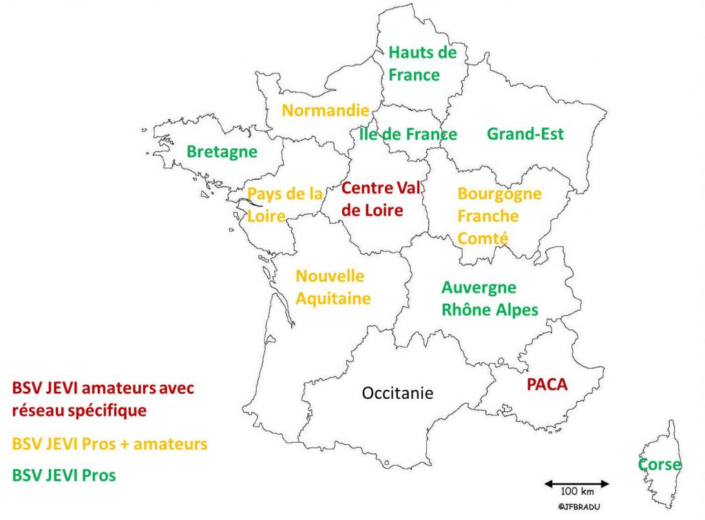 Répartition des BSV JEVI par type d'édition avant restriction budgétaire