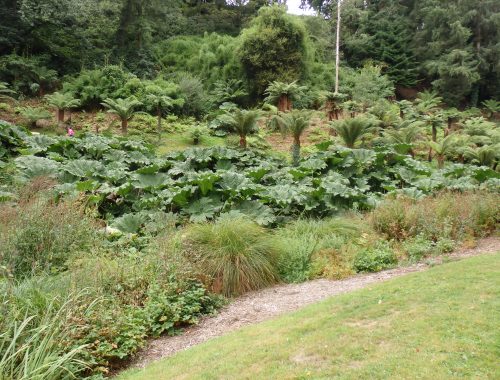 Jardin du conservatoire botanique de Brest (2018)