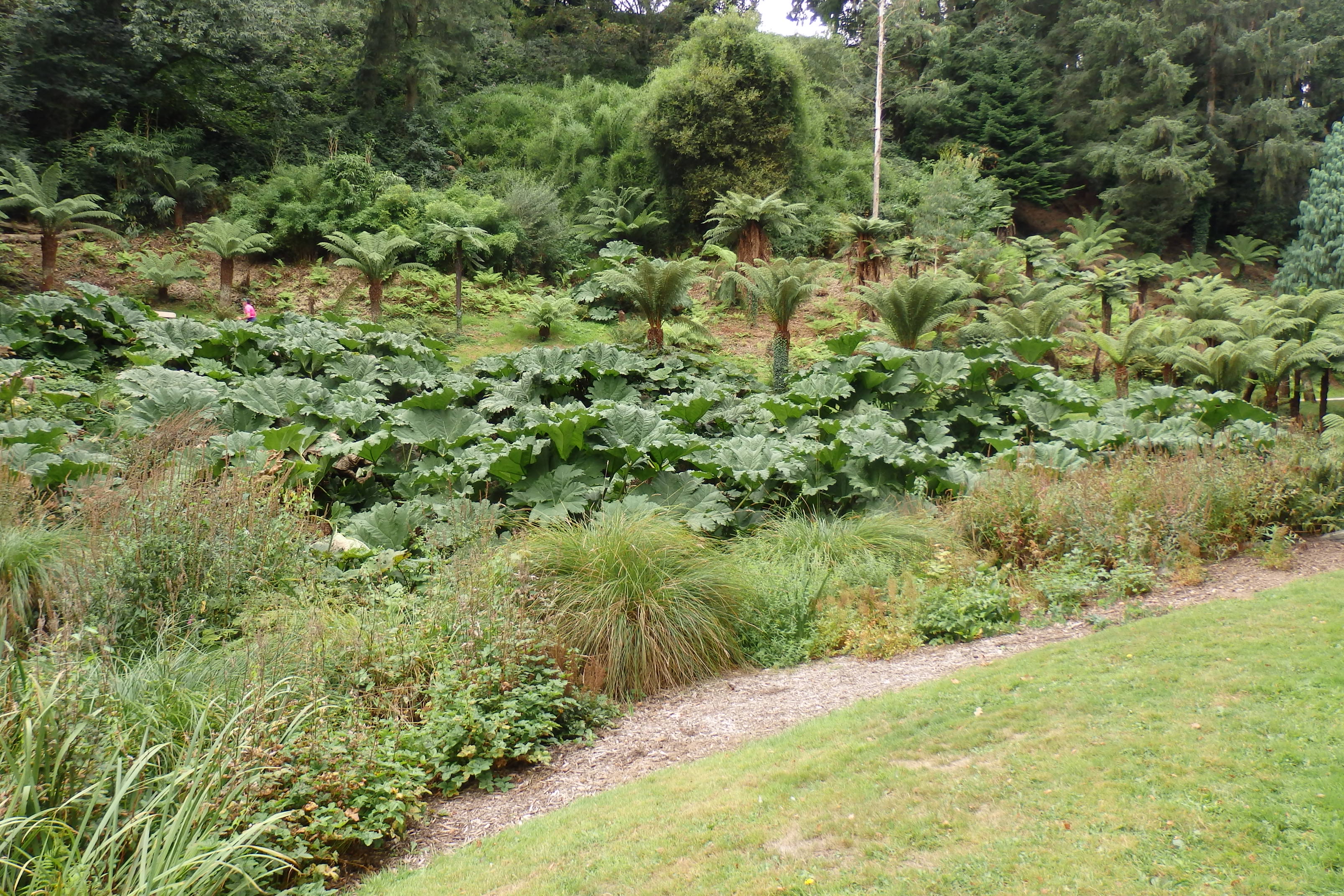 Jardin du conservatoire botanique de Brest (2018)