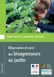 Observation et suivi des bioagresseurs au jardin