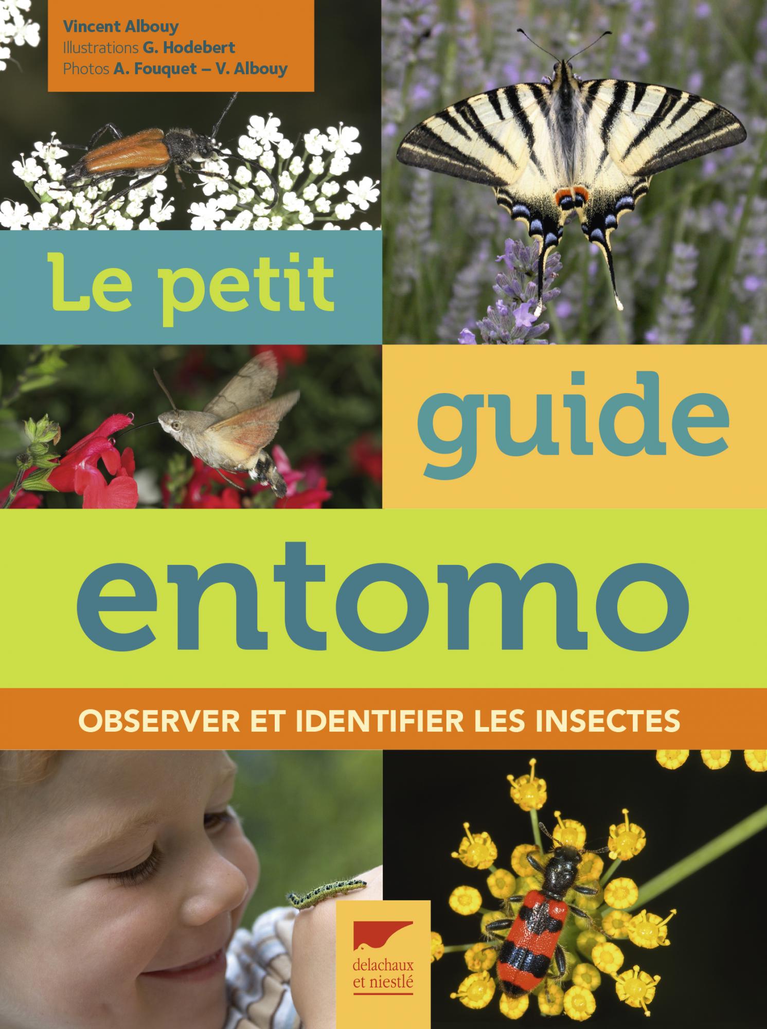 Le petit guide entomo