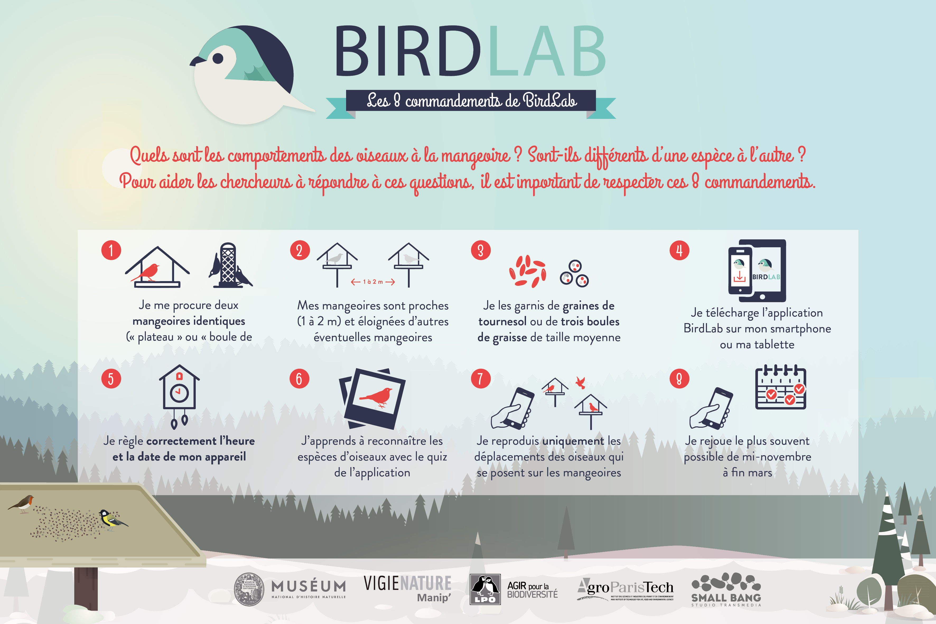 Les 8 commandements birdlab