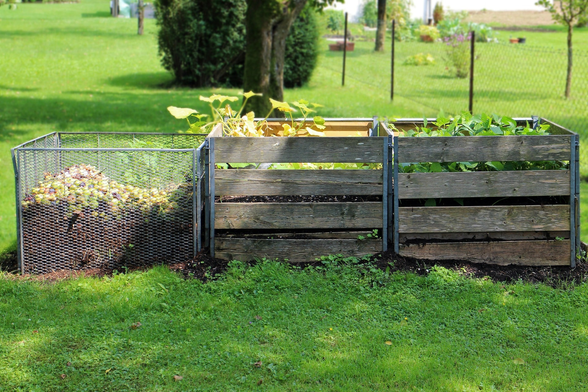 Composteurs dans un jardin