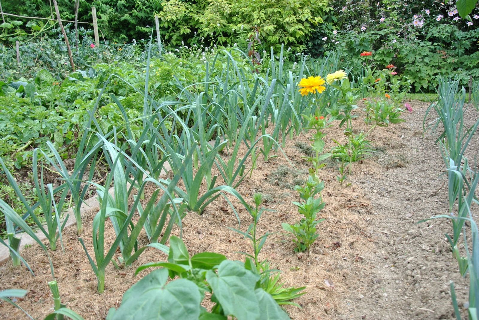 Déchets du jardin - Recycler les Déchets du Jardin