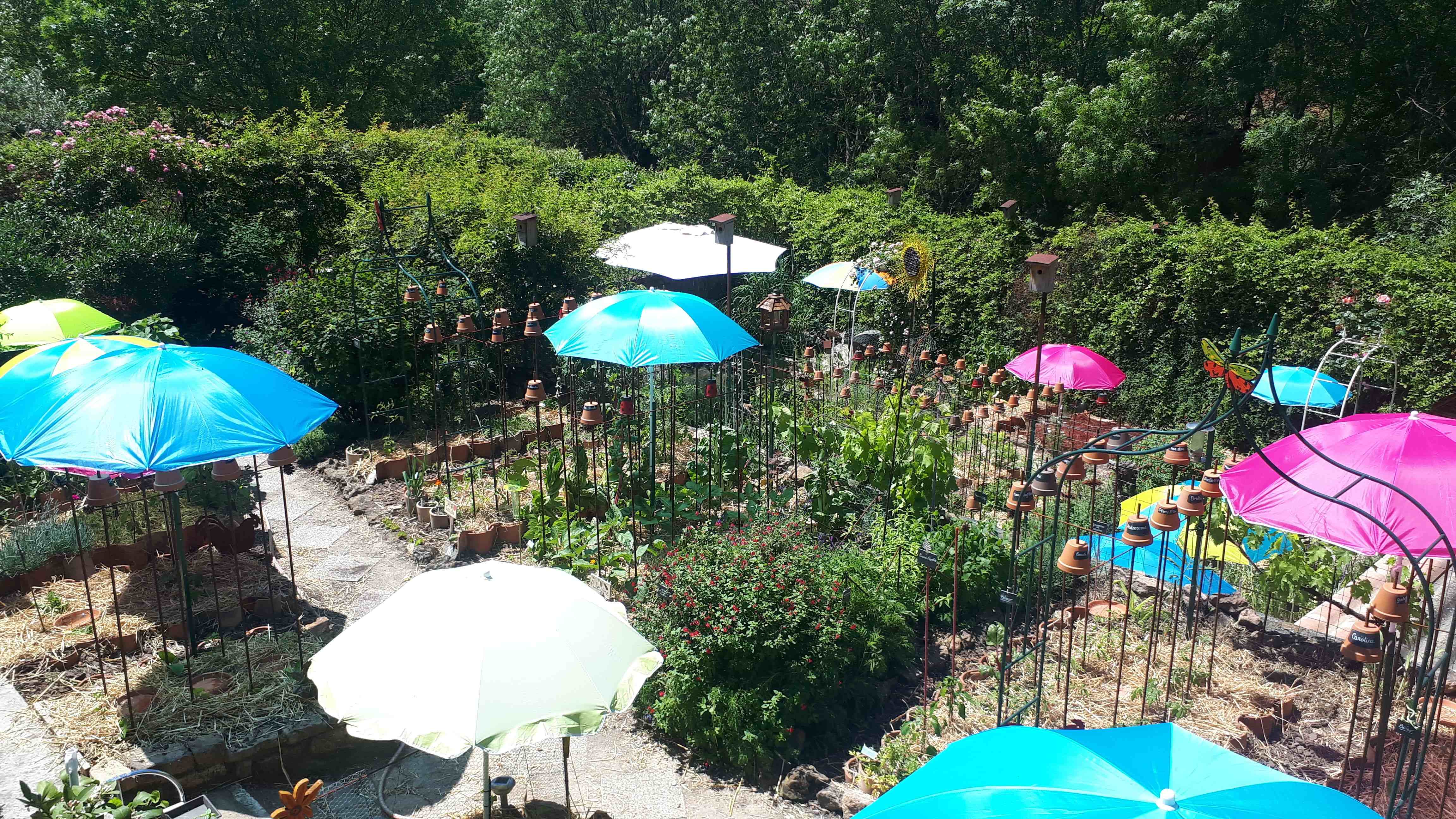 Le jardin de Cathy Babau