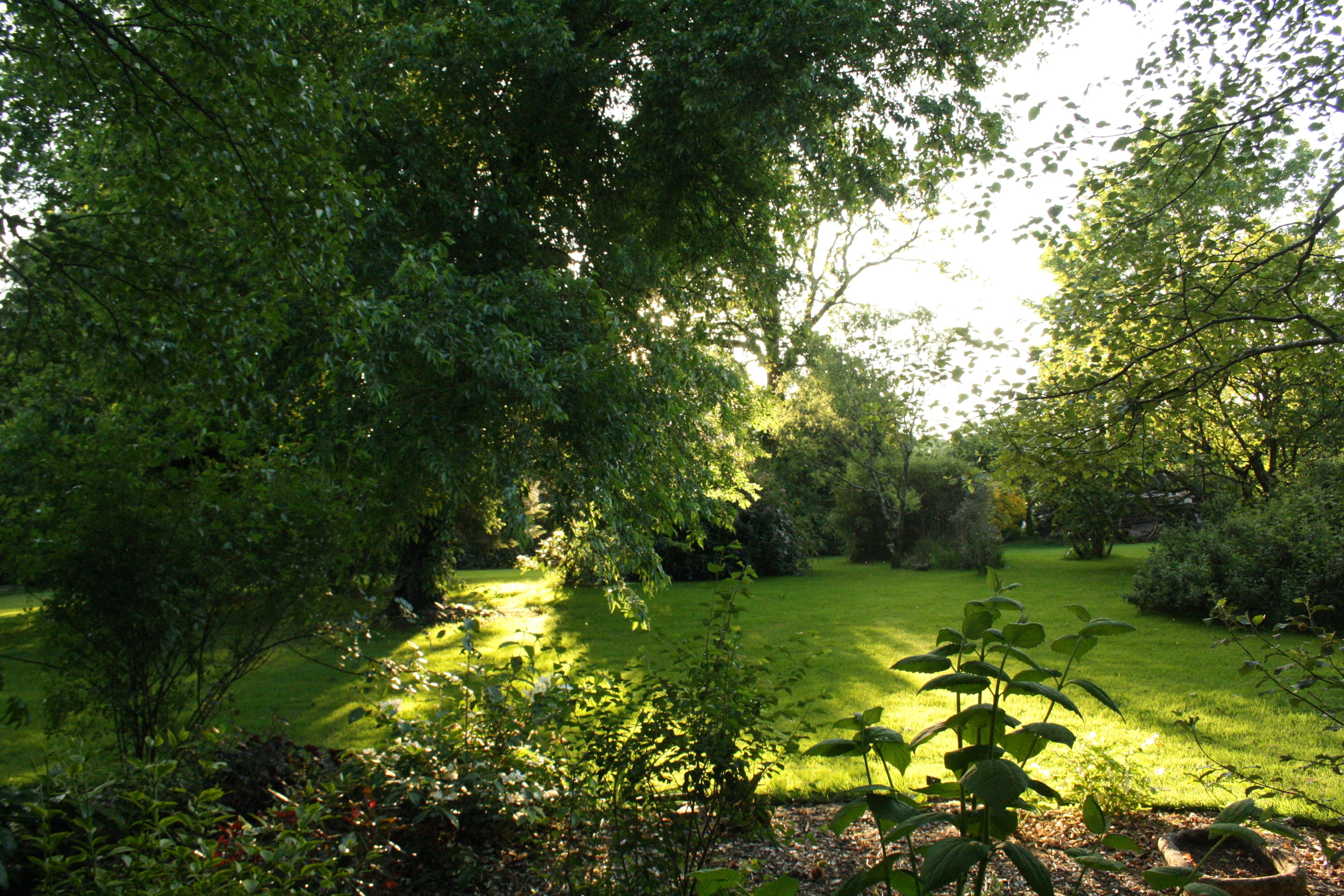 Le jardin de Gaëlle Szygenda