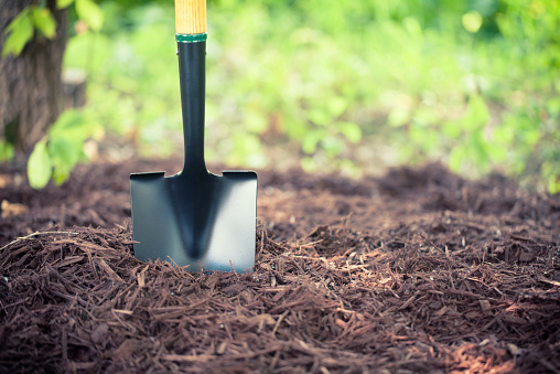 Le paillage en hiver au potager : avantages et inconvénients